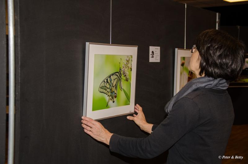 bdexpo 2019-0446.JPG - Expositie 2019